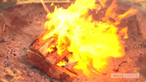 I bagnini sono bollenti e scopano forte