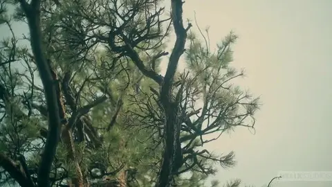 Horny threesome with camping buddies