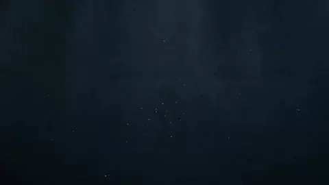 23 cm in the ass during study sessions