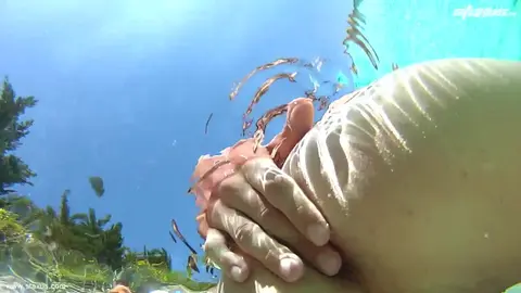 Six horny twinks in a bareback pool orgy