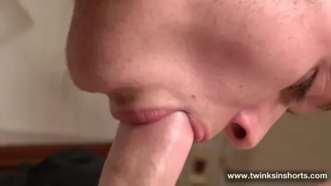 Sollievo al risveglio — Dan Rogers & Gordon Grant