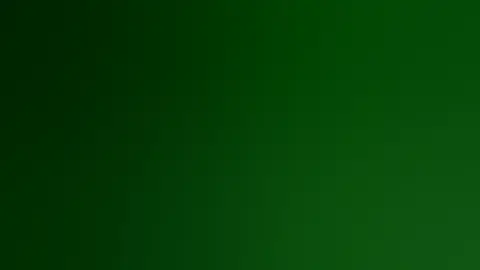 Viaje por carretera, Vol. 12 - Lago Shasta