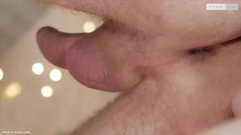 Primeiros encontros — Cena 1 — Nick Fox, Felix Jakes