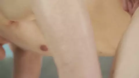 Easter Bunnies 2019 - Rob Bisset, Lior Hod