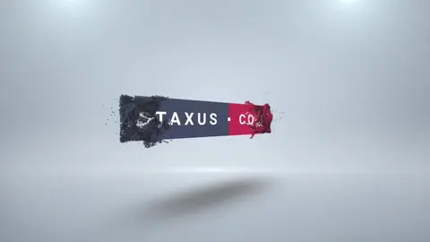 Giovane dotato Scena 2 - Dieter Haas & Rajeev Kapur