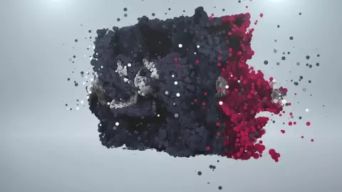 Well-hung pornstar gets fucked by a beginner