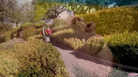 Поймали на горячем – Joey Hard, Sebastian Conally & Jayden Ellis