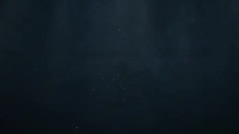 Un BBC (Big Black Cock) allarga un buco stretto e vergine