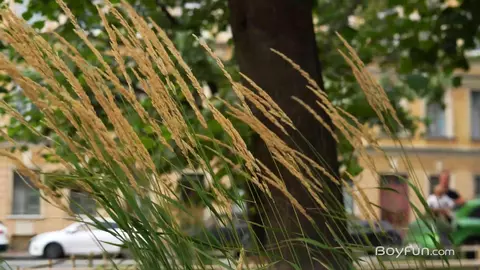 Mike Steed & Jackie Sweet