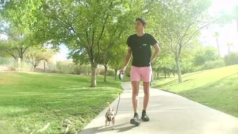 My new neighbor — Aiden Garcia & Asher Haynes