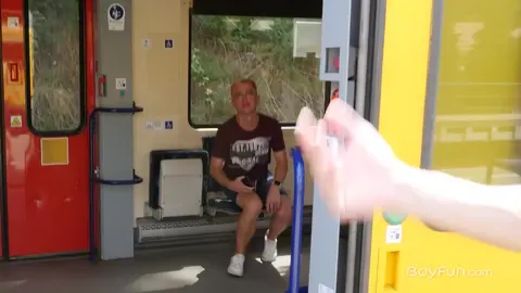 Твинги в дороге