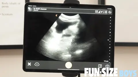 Anal Ultrasound — GRANT Episode 1