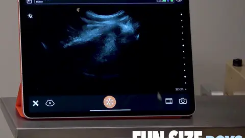 AUSTIN Episode 26 - Hands-on Training