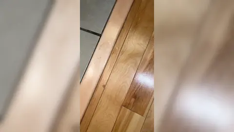 Explosion of cum after 24hrs without jerking off – with Ethan_Pr