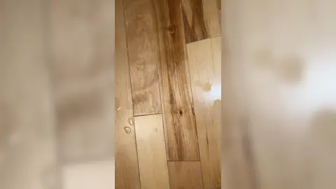 Explosion of cum after 24hrs without jerking off – with Ethan_Pr