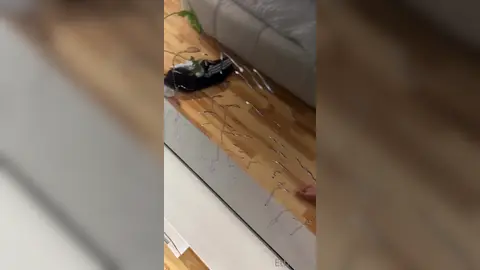 Put It in Your Mouth Instead — 1