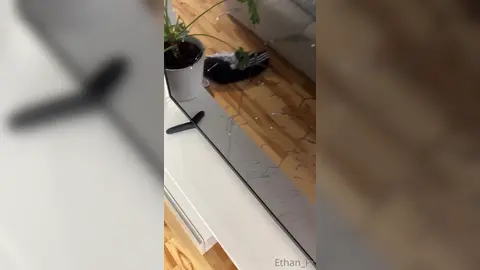 Put It in Your Mouth Instead — 1