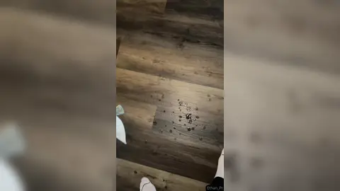 I Hope No One Saw This — 1