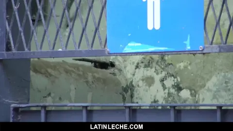 Leche latina Número 12