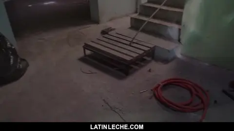 Latin Leche Numero 10