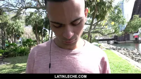 Leche Latina Número 6