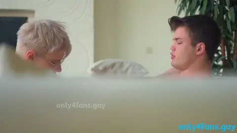 Turkish bred — Kurt Dovmeli x tobby