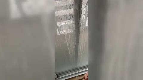 Mattina veloce — vetro imbiancato — Ethan