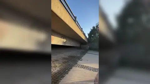 Kayden engravida Jake — parque