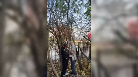 Кайден покрывает Джейка — парк