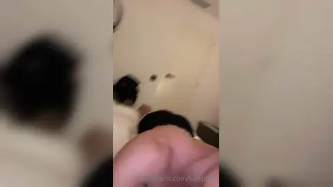 Scopami — Valsplace