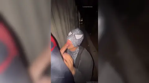 Spidey on Spidey — Webs & Shots — Luca