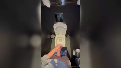 Общественный туалет — дрочка