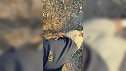 Softie in Nature — Valentin